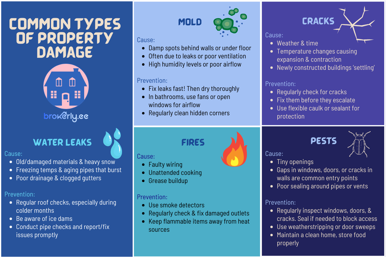 Read more about the article Easy ways to protect your home against common types of property damage